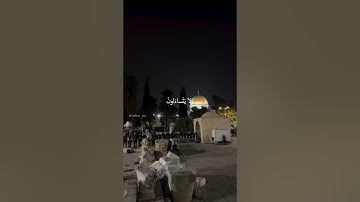 قراءة من صلاة في المسجد الأقصى | من سورة المؤمنون | تلاوة مريحة جداً