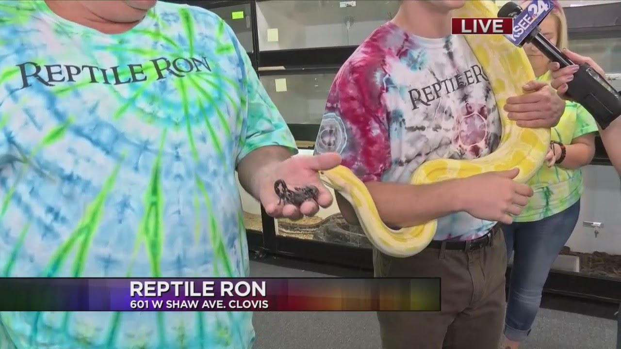 Explore Exotic Wildlife At Reptile Ron Youtube