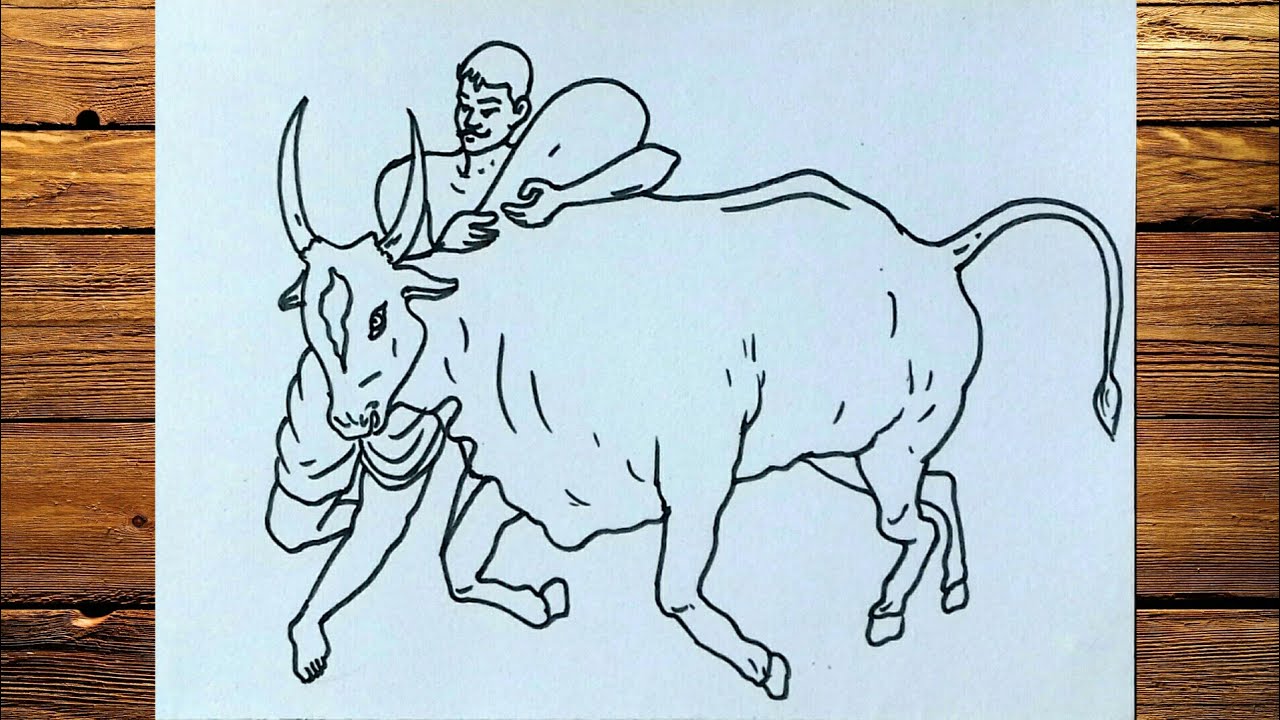 JALLIKATTU DRAWING PONGAL YouTube