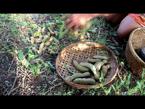 Survival skills: Find green tamarind in the forest for food #2 - Tamarind food eating delicious