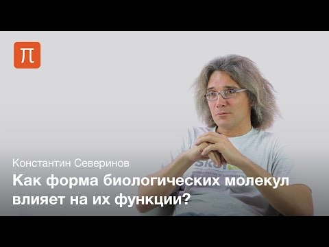 Взаимодействие макромолекул — Константин Северинов