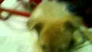 MOV02004.3GP