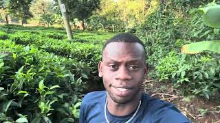 Following A Decades Absence, I Paid A Visit To My Homeland, Kisii County