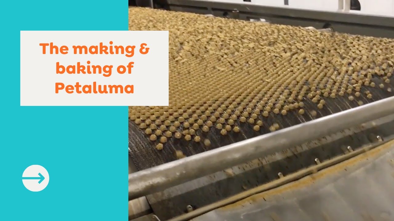 The making and baking of Petaluma dog food YouTube