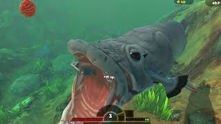 Hunted Down By The Deadly Arapaima // Fish Feed And Grow