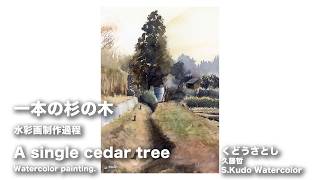 CedarTree. Watercolor painting. 杉の木 水彩画 - YouTube