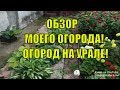 Большой обзор моего огорода и сада в августе! Огород на Урале! Обзор участка!