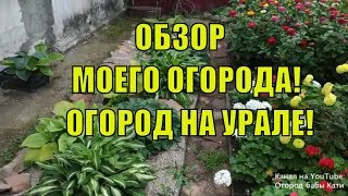 Большой обзор моего огорода и сада в августе! Огород на Урале! Обзор участка! screenshot 5