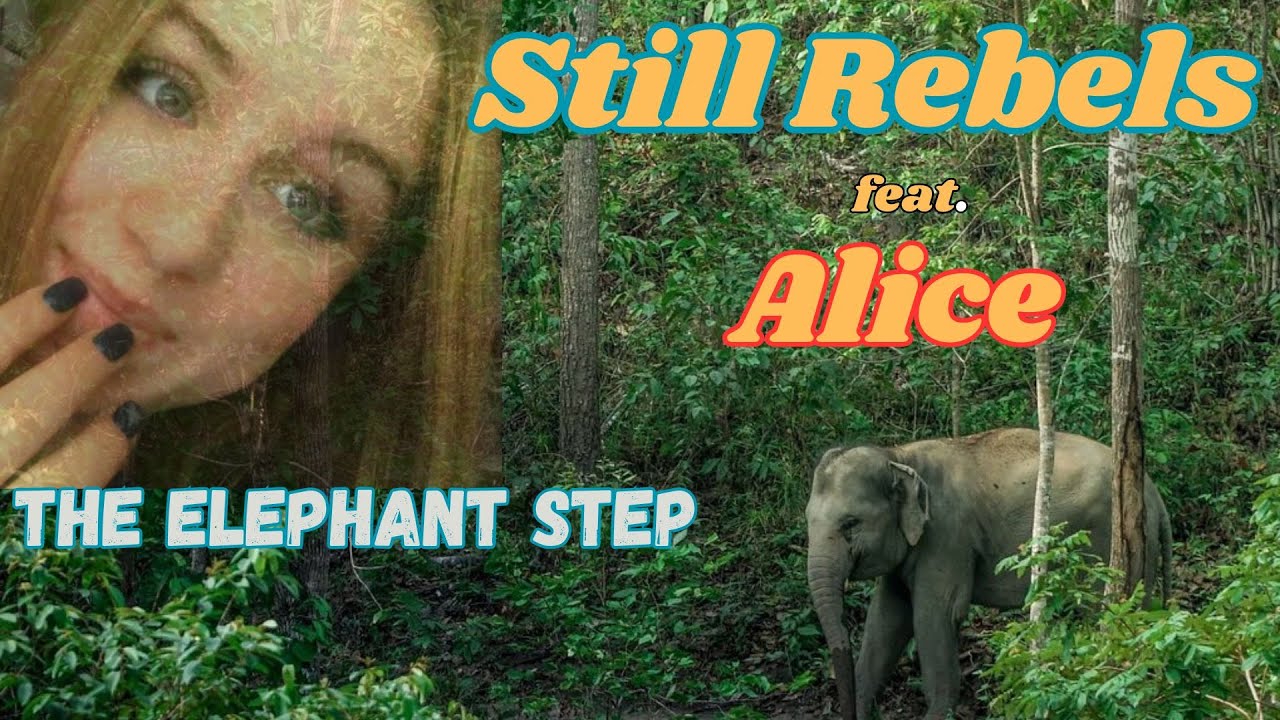 Still Rebels (feat. Alice) - The Elephant Step [visualizer]