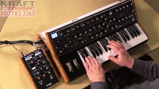 Kraft Music - Moog Sub 37 Analog Synthesizer Demo chords