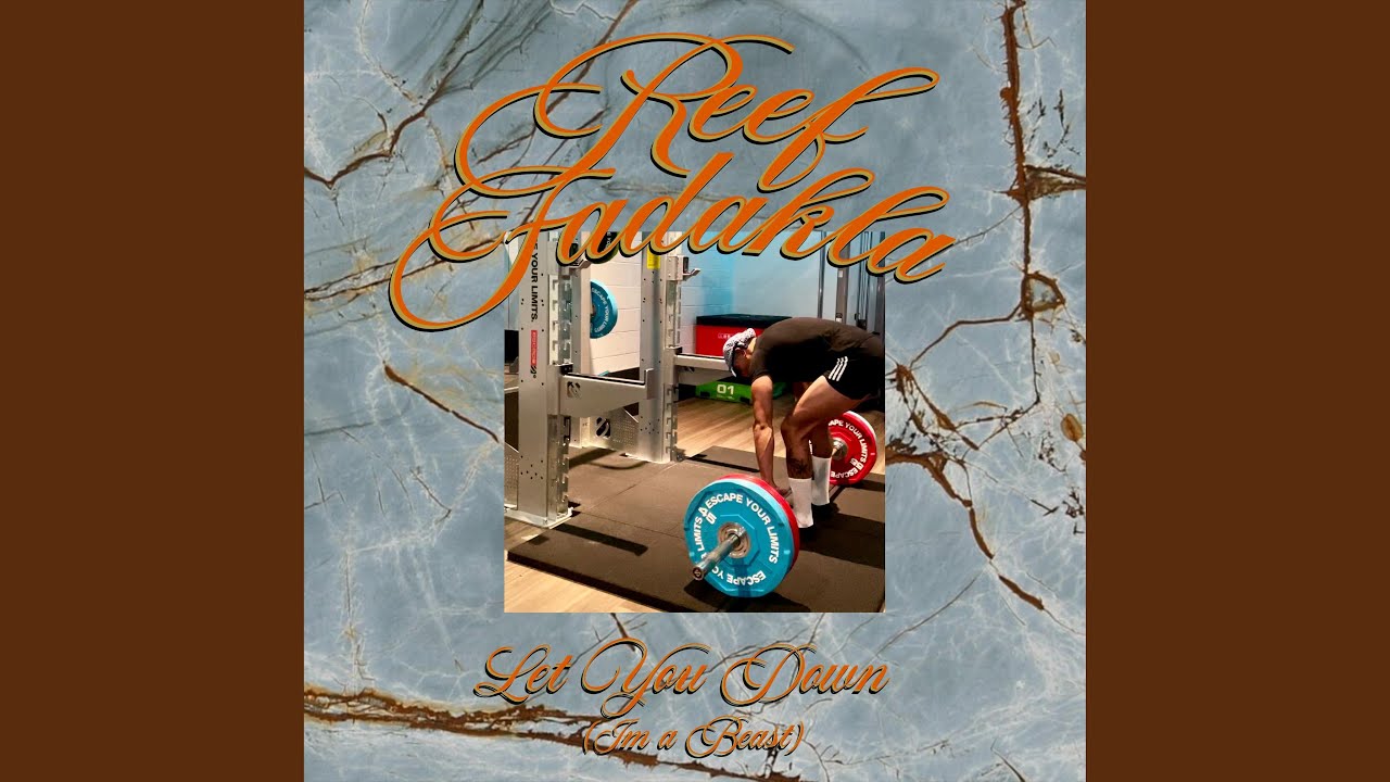 Let You Down (I'm a Beast)