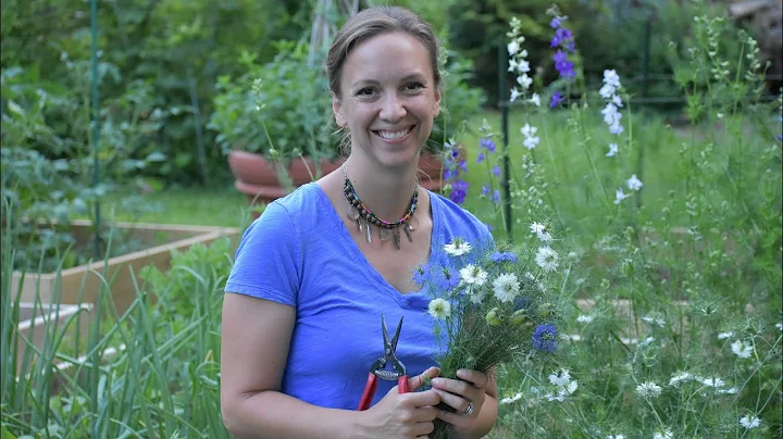 How to harvest Love-in-a-Mist // Cut Flower Garden // Northlawn Flower Farms