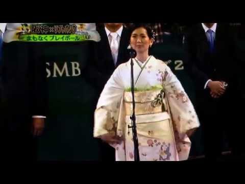 阪神優勝日本シリーズ2014vsソフトバンク ハイライト名場面