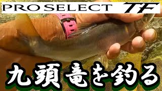 鮎釣り シマノ プロセレクト TF 急瀬85 平水 北島鮎大橋下 2023年9月15