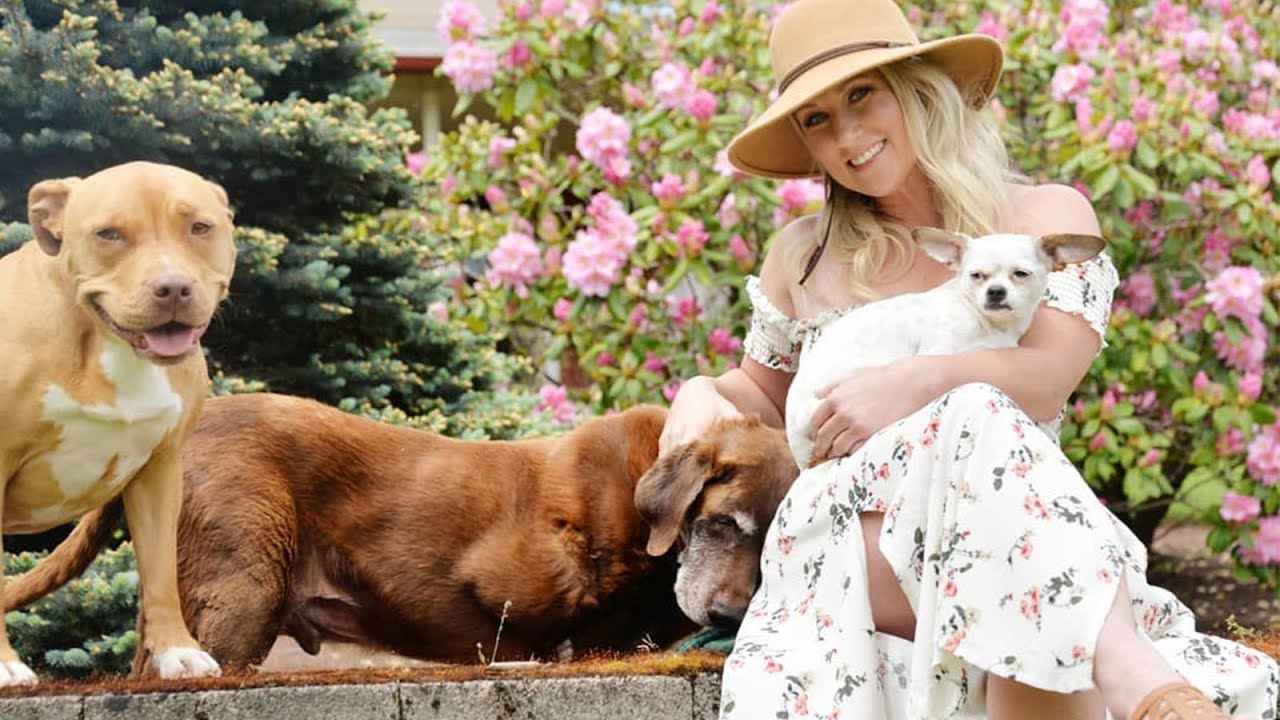 How fostering over 100 dogs helped bring meaning to this woman's life