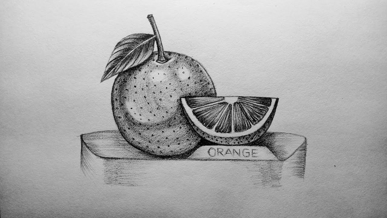 Share 79+ sketch of a orange - in.eteachers