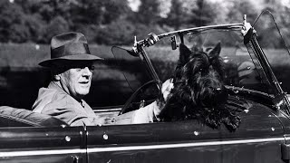 A peek at Presidential Pets  // Pets and the City exhibition video