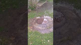 Sewage backup