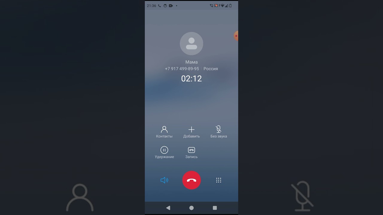 24 декабря 2024 г.