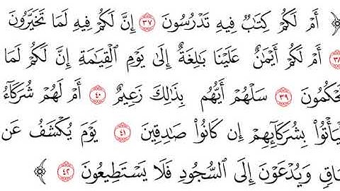 سورة القلم من الآية (37) حتى الآية (42)