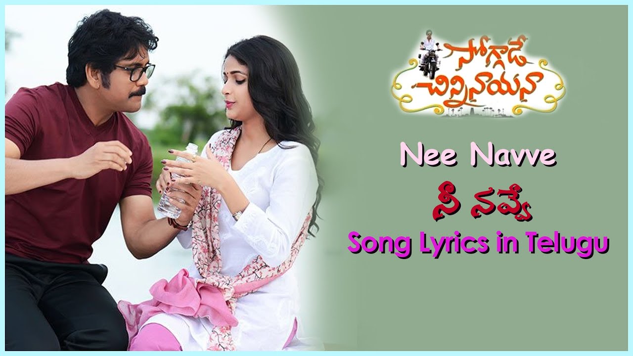 Nee navve hayiga undi song lyrics