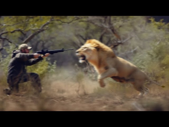 Why You Should NEVER Go Lion Hunting... class=