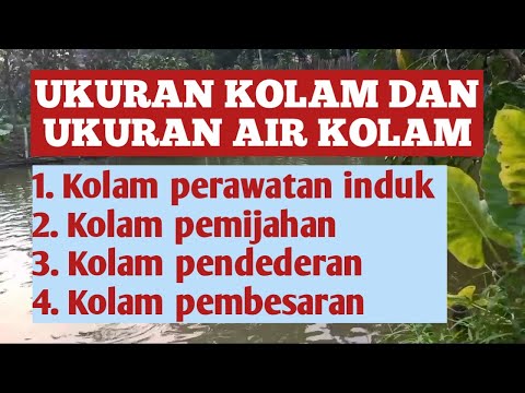 UKURAN KOLAM DAN UKURAN KEDALAMAN AIR KOLAM