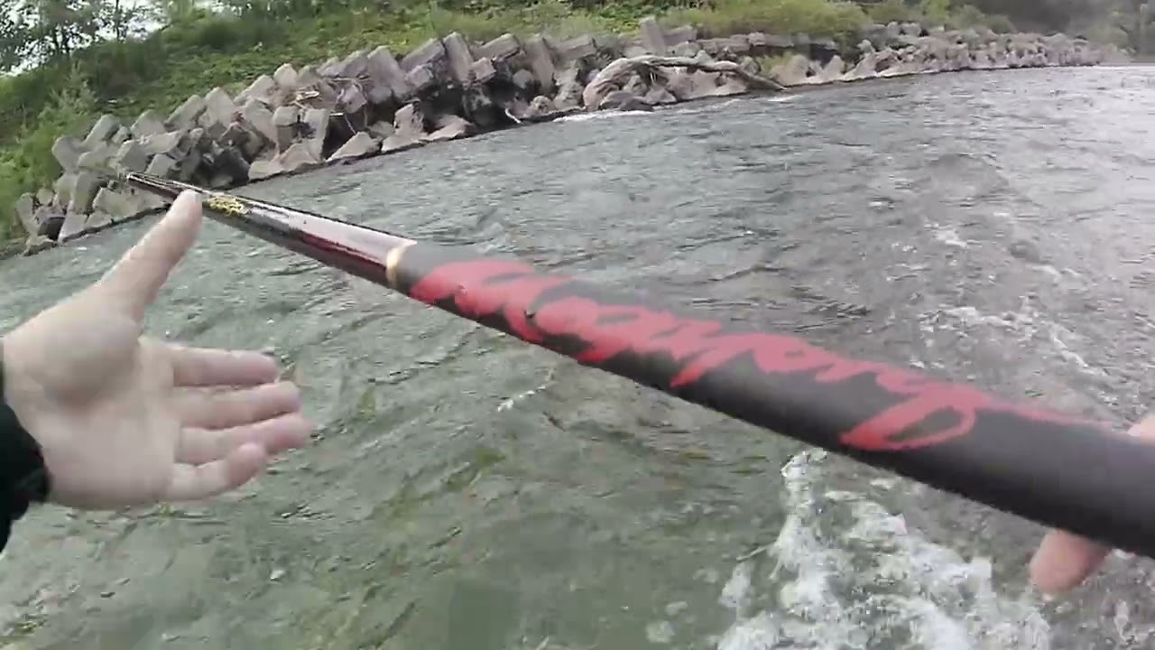 阿仁川の鮎をメガトルクで抜きまくる　のされたほうが抜きやすい