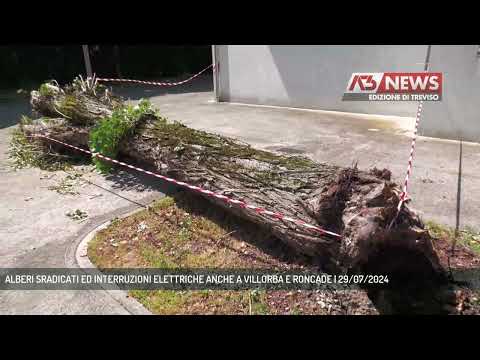 ALBERI SRADICATI ED INTERRUZIONI ELETTRICHE ANCHE A VILLORBA E RONCADE | 29/07/2024