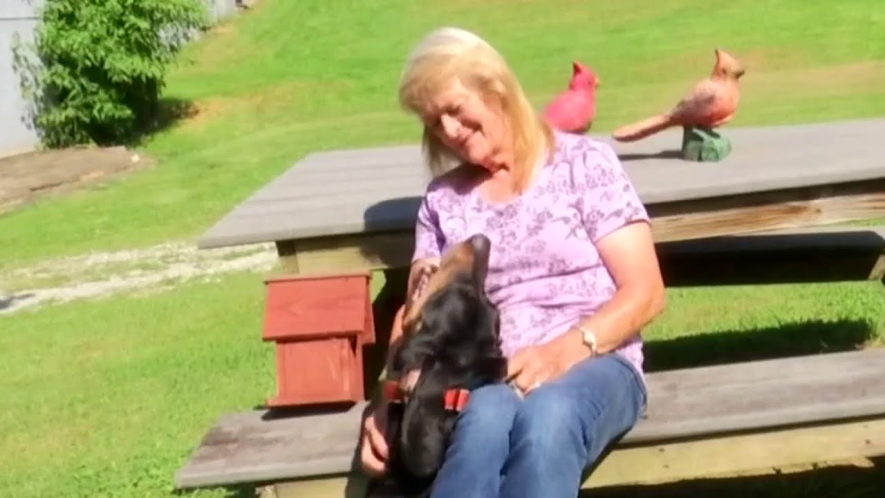 'He's my boy' After 637 days, dog finds forever home through Clear the