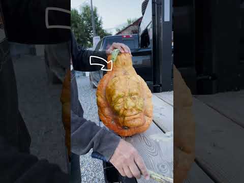 This Farmer Grows Pumpkins With Real Faces 😱🎃#viral