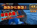 【越前かに解禁初日の漁とセリ】各船大漁!?極の値段も桁外れ！【越前漁港の漁師達】