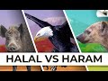 Les viandes halal et haram en islam