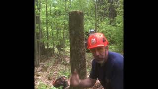 Pre- Game Of Logging level 1