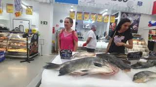 Bom Dia Meu Povo Sertão Da Nossa Gente.mix Mateus.