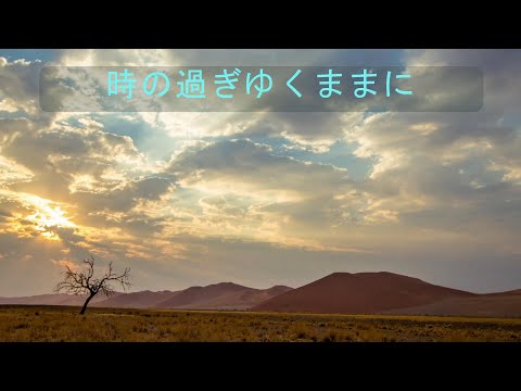 時の過ぎゆくままに（沢田研二カバー）タガワミチユキ弾き語り【歌詞・コード付】