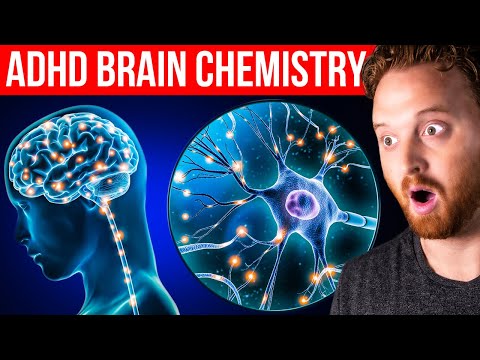 The Neurotransmitters That Affect Your ADHD (LiveStream) thumbnail