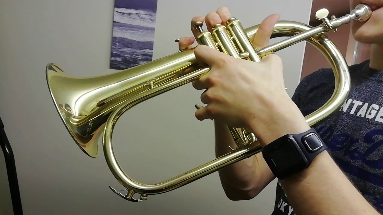 Flugel Horn.... Solo from Brassed Off YouTube