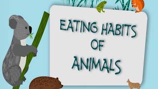 How animals eat their Food (Grade 3)