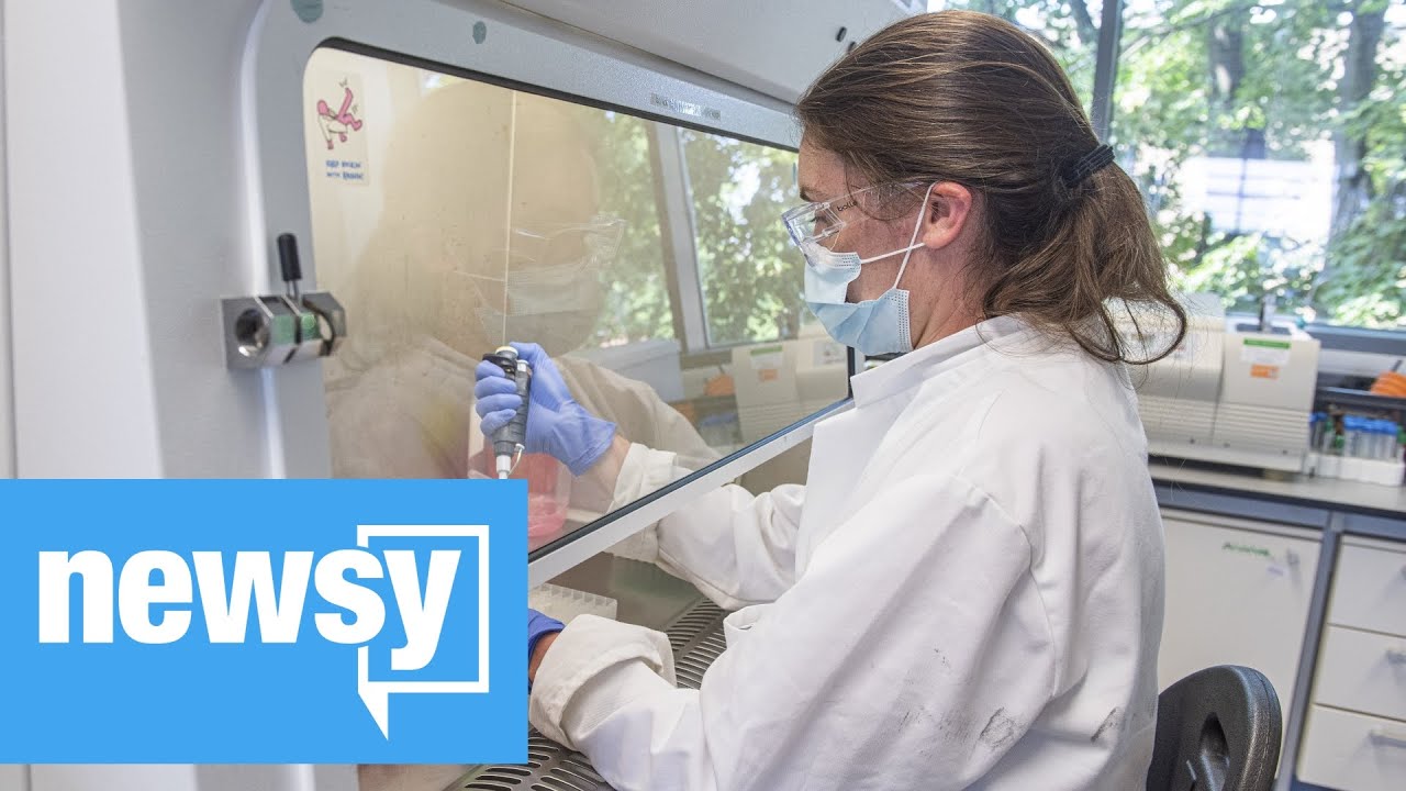 Could CBD Help Fight Severe Cases Of COVID-19?