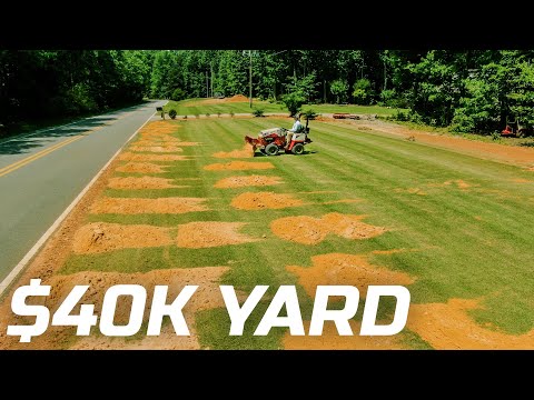 Video: Xoá Zoysia Thatch: Mẹo Phát hiện Bãi cỏ Zoysia