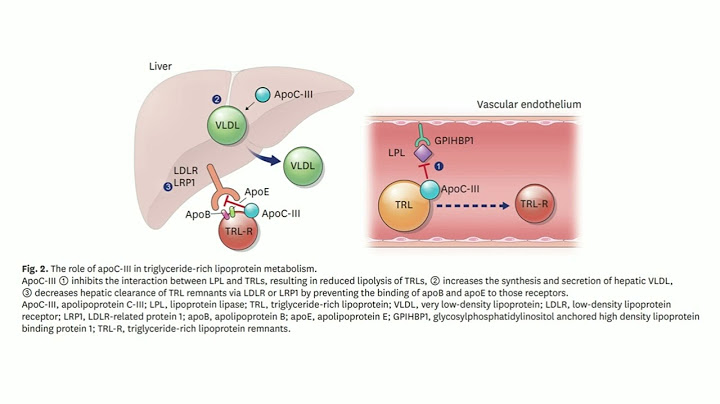 209 lipase tụy chuyển hóa triacylglycerol thành các sản phẩm