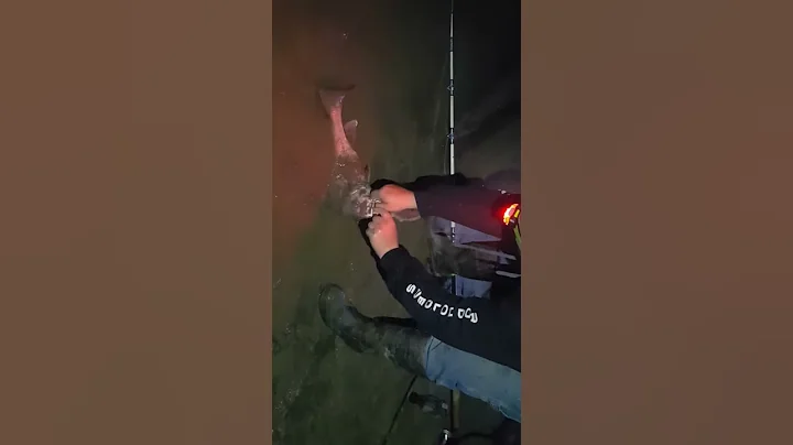Catfishing the wabash with tyler nash and abu islam