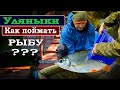 КАК поймать РЫБУ на водоеме УЛЯНЫКИ?