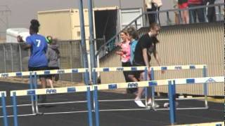 Hilarious Hurdle Fails