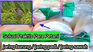 Quality Farm Net / Bird Netting / Rice Paddy Net, A Practical Solution for Farmers.