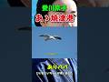 あゝ焼津港