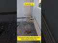 Plumber#videoumber#shorts #short #viralvideo #contractor #pprpipe #worldplumbers#subscribe