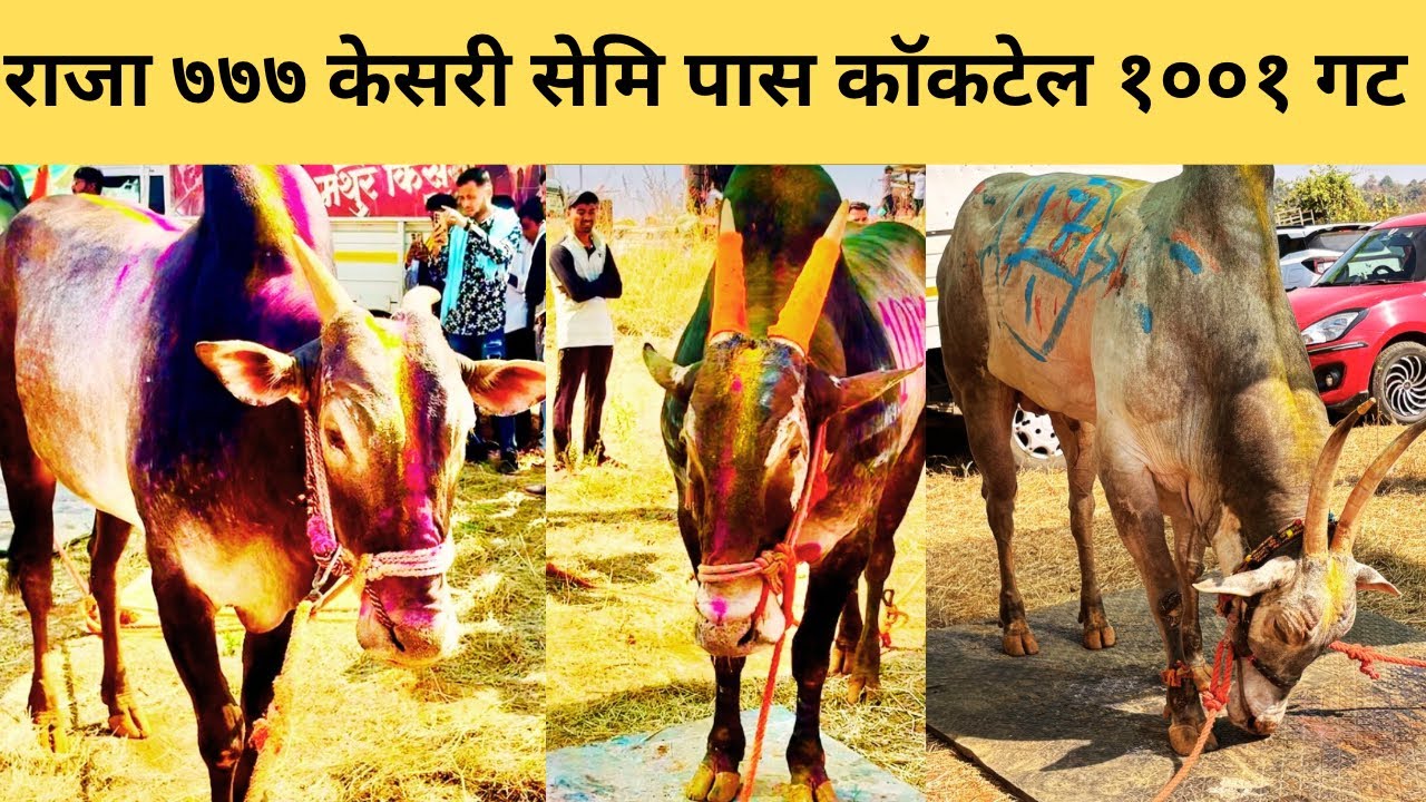 सेमि पात्र कोण कोण, मथुर १००१-हरण्या ६२२