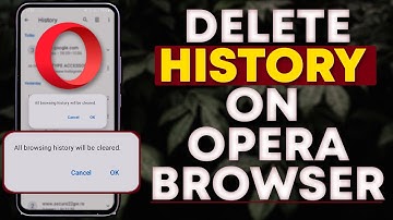 How to Delete Search History on Opera [2024]